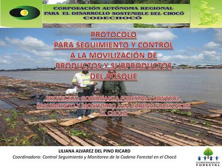 PARA SEGUIMIENTO Y CONTROL A LA MOVILIZACIÓN DE