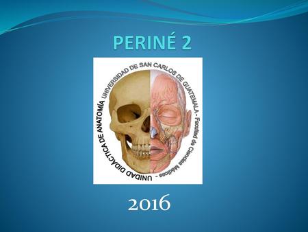 PERINÉ 2 2016.