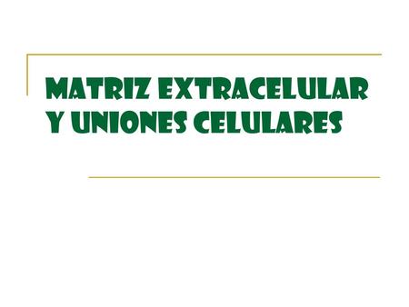 MATRIZ EXTRACELULAR Y UNIONES CELULARES
