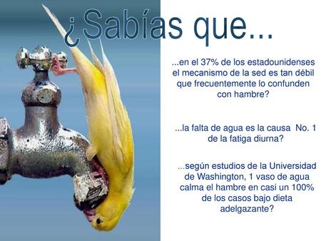 ...la falta de agua es la causa No. 1 de la fatiga diurna?