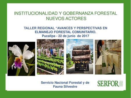 INSTITUCIONALIDAD Y GOBERNANZA FORESTAL NUEVOS ACTORES