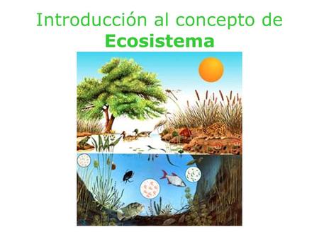 Introducción al concepto de Ecosistema