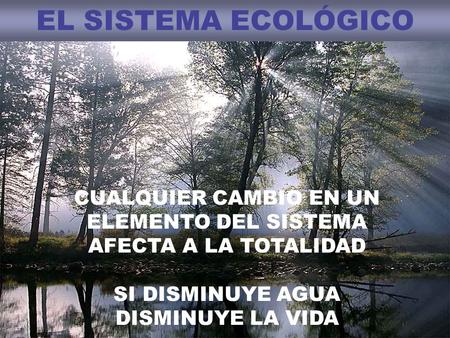 EL SISTEMA ECOLÓGICO CUALQUIER CAMBIO EN UN ELEMENTO DEL SISTEMA AFECTA A LA TOTALIDAD SI DISMINUYE AGUA DISMINUYE LA VIDA.