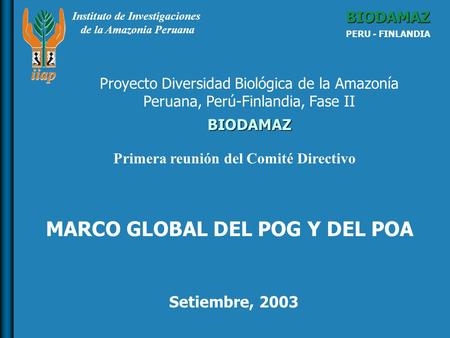 Instituto de Investigaciones de la Amazonía Peruana BIODAMAZ PERU - FINLANDIA BIODAMAZ Setiembre, 2003 Proyecto Diversidad Biológica de la Amazonía Peruana,