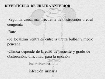 -Segunda causa más frecuente de obstrucción uretral congénita -Raro