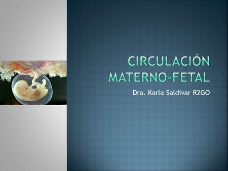 Circulación Materno-Fetal