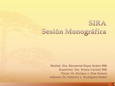 SIRA Sesión Monográfica