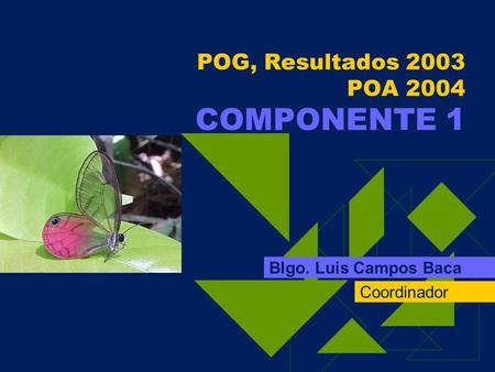 POG, Resultados 2003 POA 2004 COMPONENTE 1 Blgo. Luis Campos Baca Coordinador.