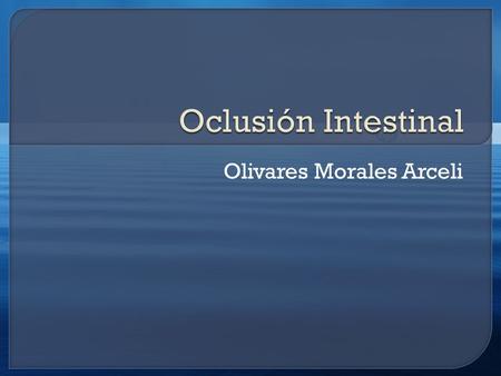 Olivares Morales Arceli