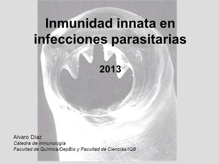 infecciones parasitarias