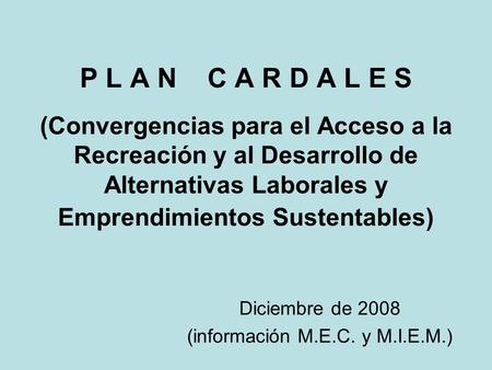 P L A N C A R D A L E S (Convergencias para el Acceso a la Recreación y al Desarrollo de Alternativas Laborales y Emprendimientos Sustentables) Diciembre.