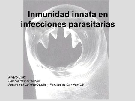 infecciones parasitarias