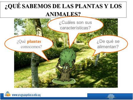 ¿QUÉ SABEMOS DE LAS PLANTAS Y LOS ANIMALES?