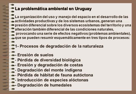 La problemática ambiental en Uruguay   La organización del uso y manejo del espacio en el desarrollo de las actividades productivas y de los sistemas.