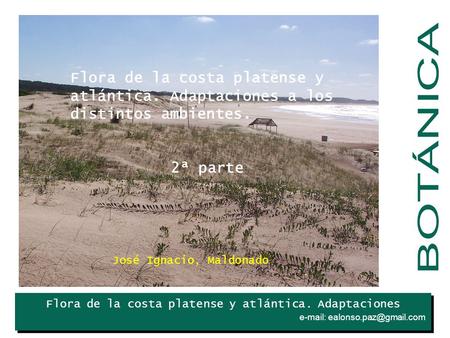 Flora de la costa platense y atlántica