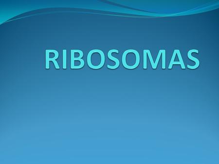 RIBOSOMAS.