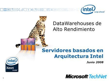 11 Servidores basados en Arquitectura Intel Junio 2008 DataWarehouses de Alto Rendimiento.