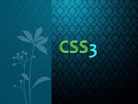 CSS 3.