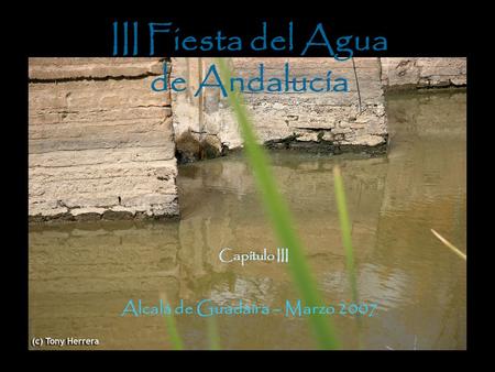 III Fiesta del Agua de Andalucía Alcalá de Guadaíra – Marzo 2007 Capítulo III.