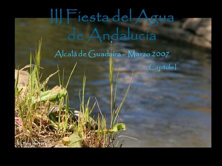 III Fiesta del Agua de Andalucía Alcalá de Guadaíra – Marzo 2007 Capítulo I.
