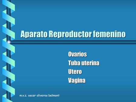 Aparato Reproductor femenino