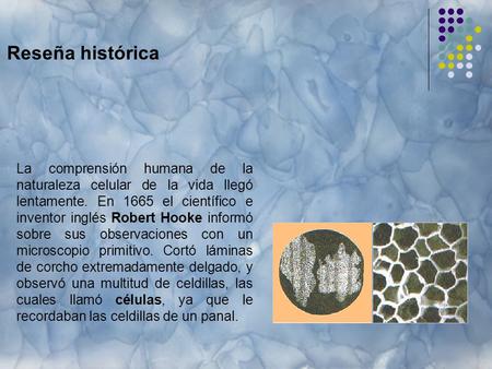 Reseña histórica La comprensión humana de la naturaleza celular de la vida llegó lentamente. En 1665 el científico e inventor inglés Robert Hooke informó.
