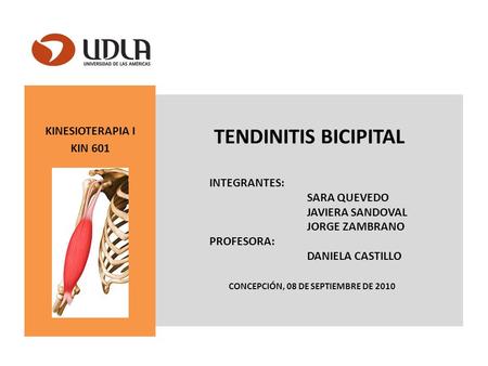 TENDINITIS BICIPITAL KINESIOTERAPIA I KIN 601 INTEGRANTES: