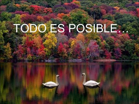 TODO ES POSIBLE….