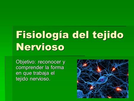 Fisiología del tejido Nervioso
