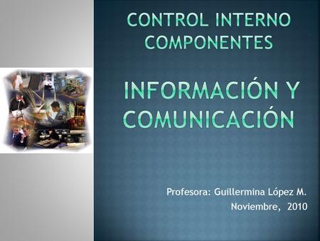 Control INTERNO componentes Información Y Comunicación