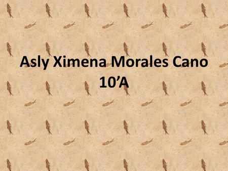 Asly Ximena Morales Cano 10’A