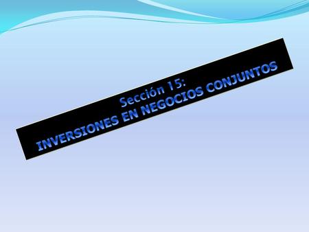Sección 15: INVERSIONES EN NEGOCIOS CONJUNTOS