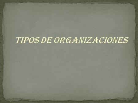 Tipos de organizaciones