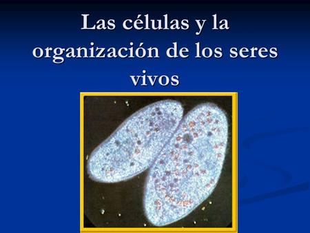 Las células y la organización de los seres vivos