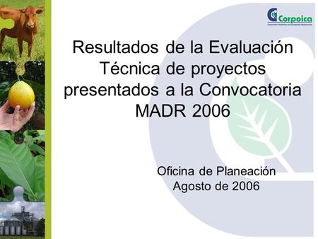 Resultados de la Evaluación Técnica de proyectos presentados a la Convocatoria MADR 2006 Oficina de Planeación Agosto de 2006.