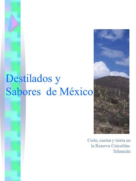 Destilados y Sabores de México Cielo, cactus y tierra en la Reserva Cuicatlán- Tehuacán.