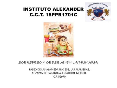 INSTITUTO ALEXANDER C.C.T. 15PPR1701C