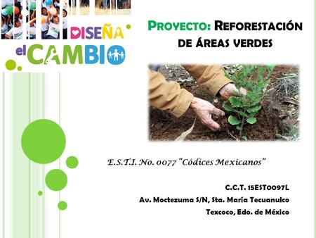 Proyecto: Reforestación de áreas verdes