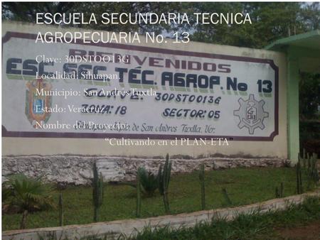 ESCUELA SECUNDARIA TECNICA AGROPECUARIA No. 13