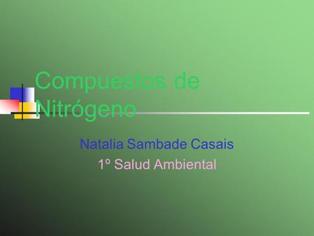 Compuestos de Nitrógeno Natalia Sambade Casais 1º Salud Ambiental.