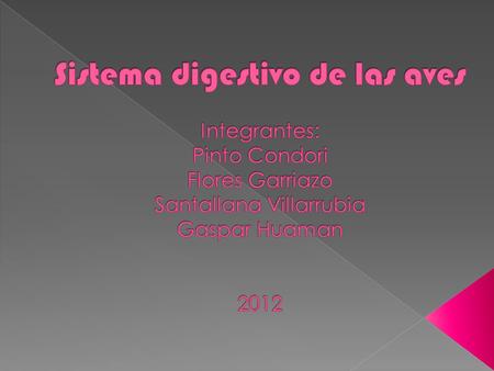 Sistema digestivo de las aves Integrantes: Pinto Condori Flores Garriazo Santallana Villarrubia Gaspar Huaman 2012.