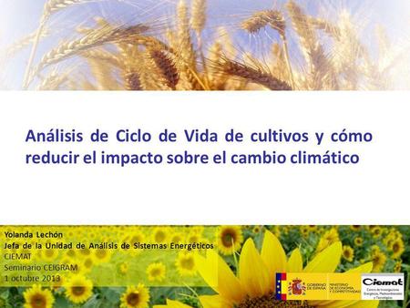 Análisis de Ciclo de Vida de cultivos y cómo reducir el impacto sobre el cambio climático Yolanda Lechón Jefa de la Unidad de Análisis de Sistemas Energéticos.