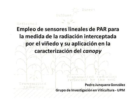 Pedro Junquera González Grupo de Investigación en Viticultura - UPM