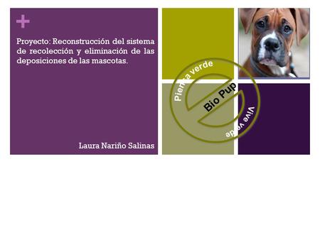 + Proyecto: Reconstrucción del sistema de recolección y eliminación de las deposiciones de las mascotas. Laura Nariño Salinas Bio Pup.