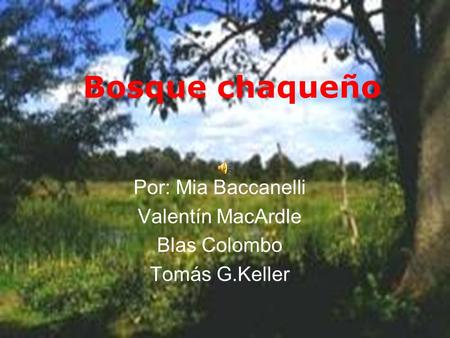 Por: Mia Baccanelli Valentín MacArdle Blas Colombo Tomás G.Keller