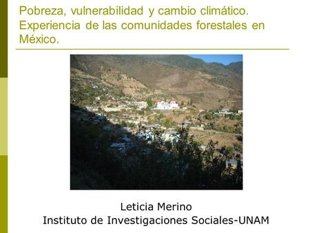 Leticia Merino Instituto de Investigaciones Sociales-UNAM