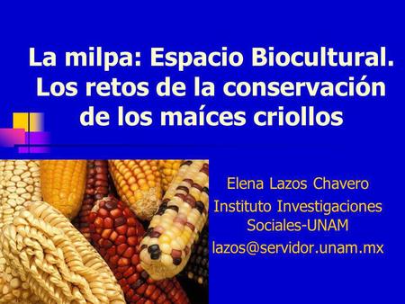 Instituto Investigaciones Sociales-UNAM