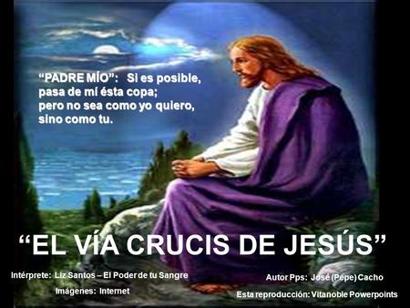 “EL VÍA CRUCIS DE JESÚS”