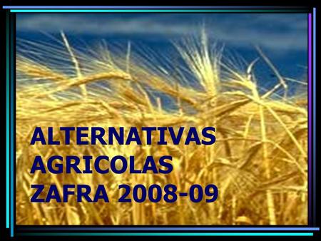 ALTERNATIVAS AGRICOLAS ZAFRA 2008-09. COSTOS 238 206 TRIGO: Costos / TON.