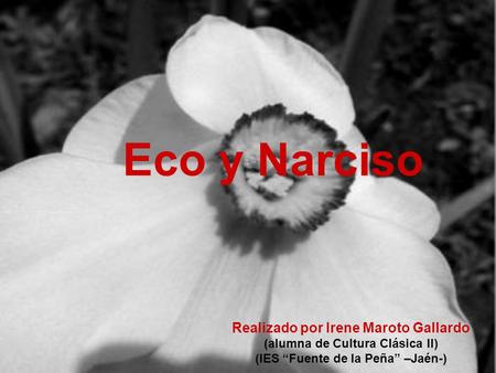 Eco y Narciso Realizado por Irene Maroto Gallardo